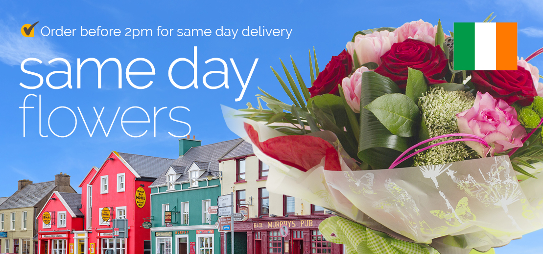 Same Day Flowers Ireland Send Flowers in Ireland Direct2florist